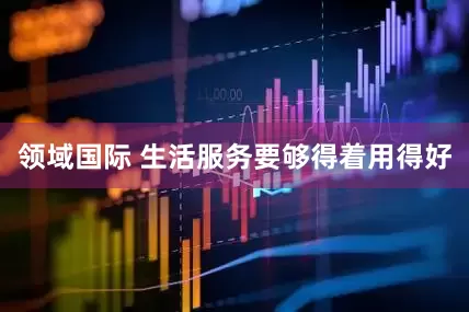 领域国际 生活服务要够得着用得好