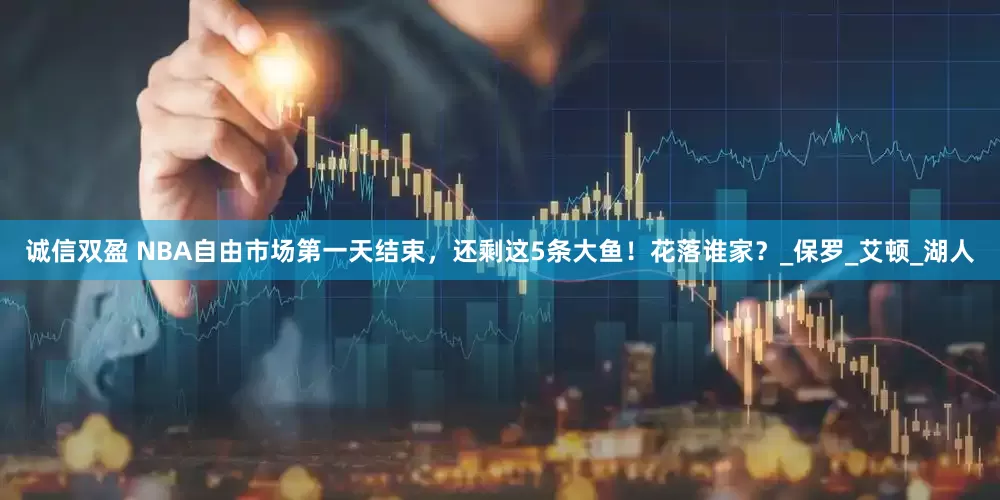 诚信双盈 NBA自由市场第一天结束，还剩这5条大鱼！花落谁家？_保罗_艾顿_湖人