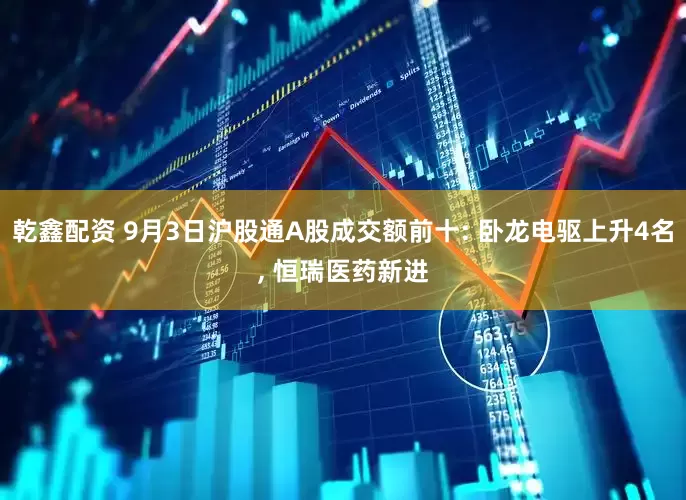 乾鑫配资 9月3日沪股通A股成交额前十: 卧龙电驱上升4名, 恒瑞医药新进